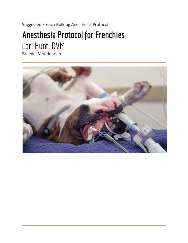 Anesthesia Protocol for Frenchies
