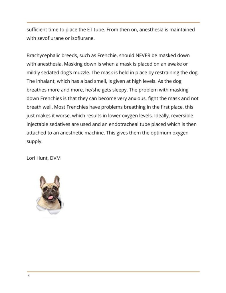 Anesthesia Protocol for Frenchies